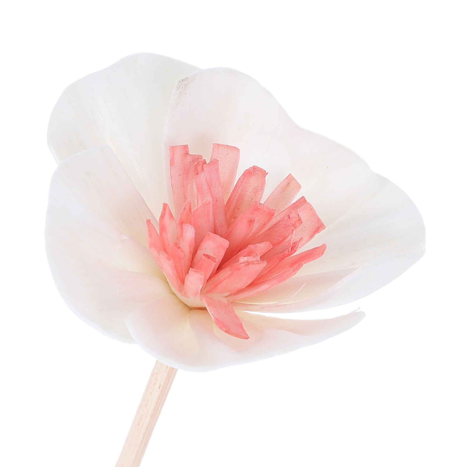 10 Buah Stik Diffuser Minyak E - Home Fragrance Essential Oils ulasan dan harga